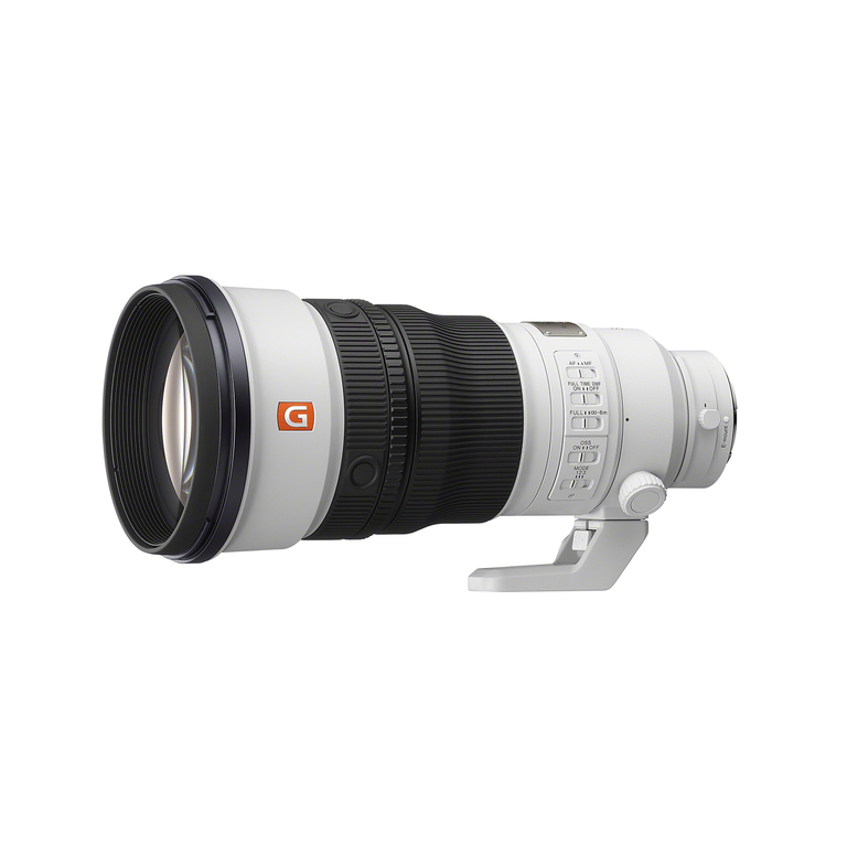 SEL300F28GM 產品圖片