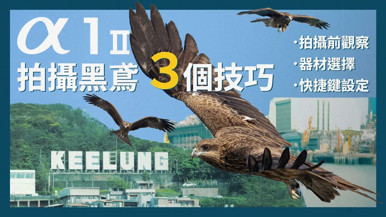 【飛羽攝影】 不能不知道的 α1 II 拍黑鳶的3個設定 的課程封面: %E9%A3%9B%E7%BE%BD%E5%B0%81%E9%9D%A2_course_thumb_20250603174630438_h768.webp 1280x720