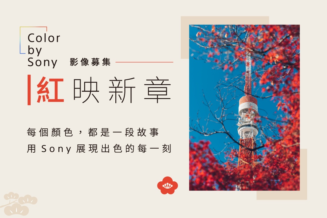 活動圖片